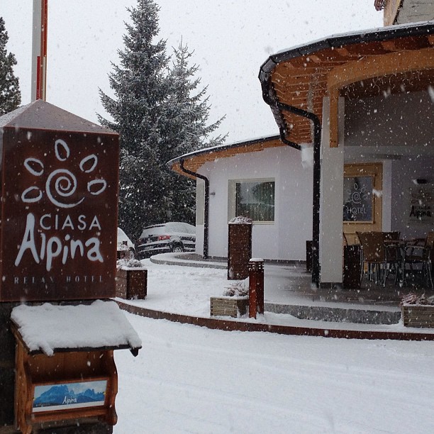 Perché il blog tour di Ciasalpina (che non è un blog tour) ha funzionato